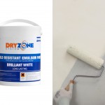 Safeguard Dryzone Mould Resistant Paint