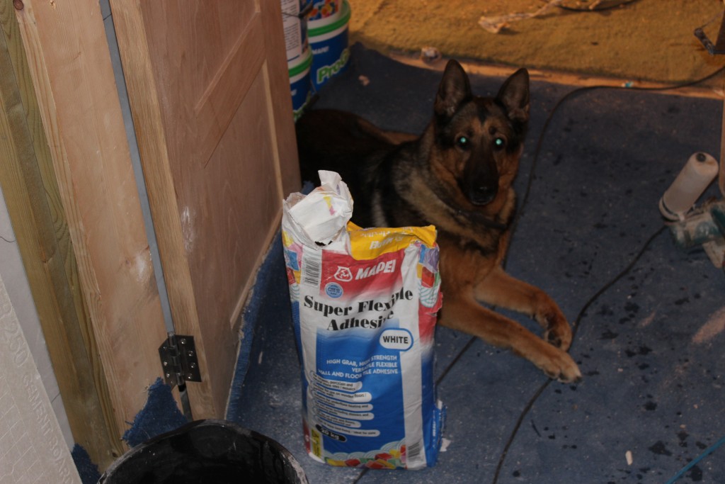 Sasha Guarding Mapei 