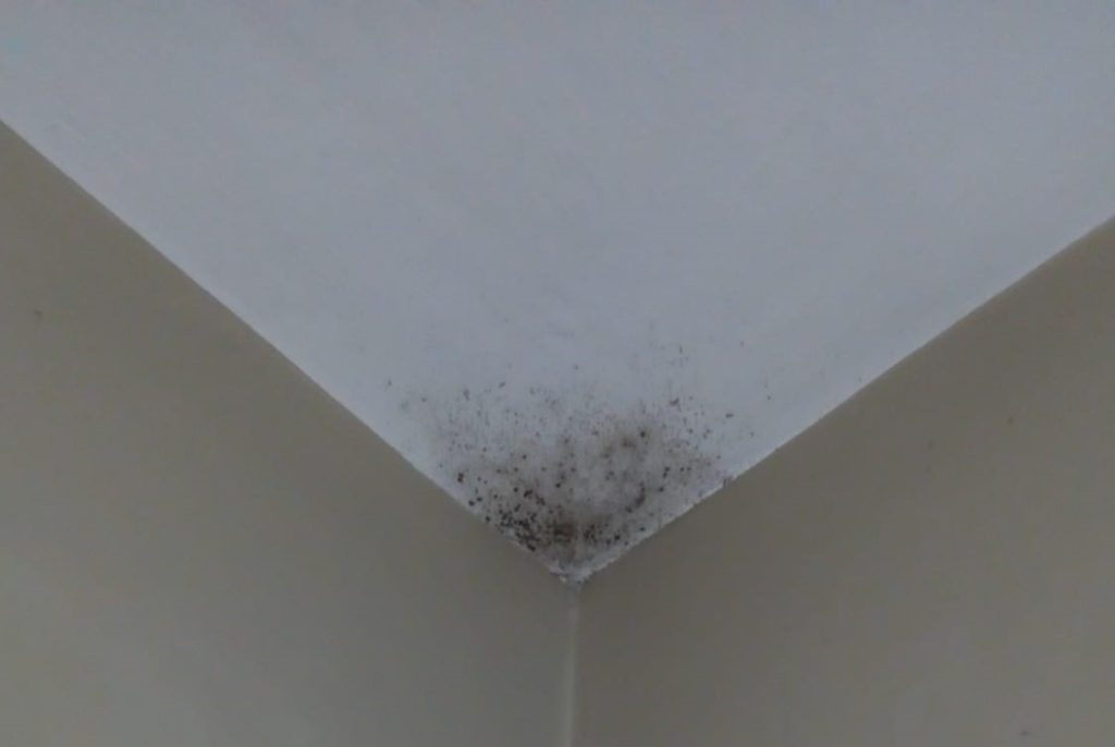 Will Plastering A Wall Stop Damp? - Condensation mould